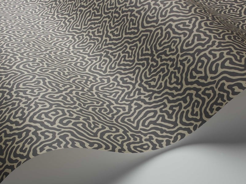 Tapeta Cole & Son Curio  107/4017 Vermicelli