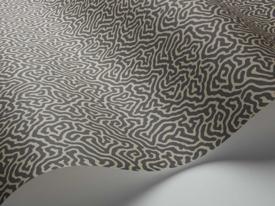 Tapeta Cole & Son Curio  107/4017 Vermicelli