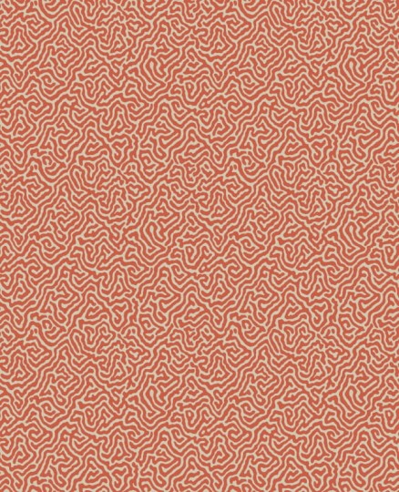 Tapeta Cole & Son Curio  107/4018 Vermicelli