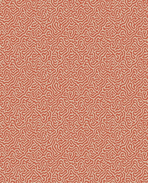 Tapeta Cole & Son Curio  107/4018 Vermicelli