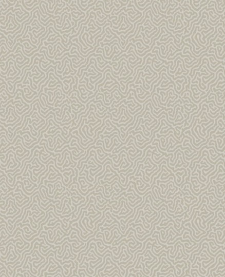 Tapeta Cole & Son Curio  107/4019 Vermicelli