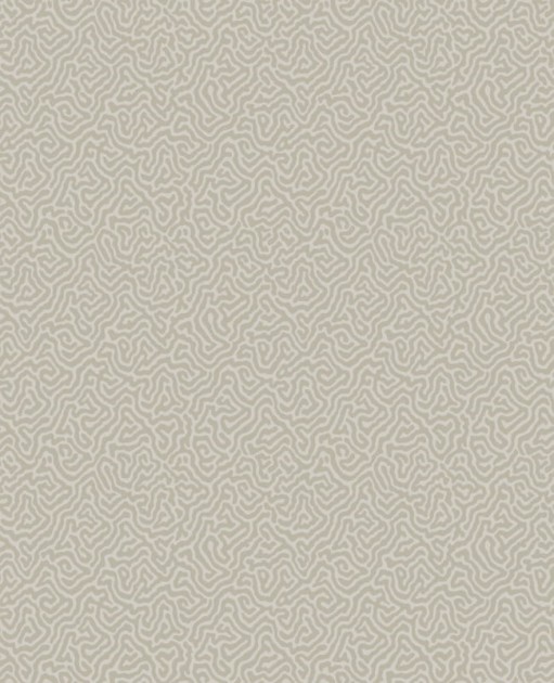 Tapeta Cole & Son Curio  107/4019 Vermicelli