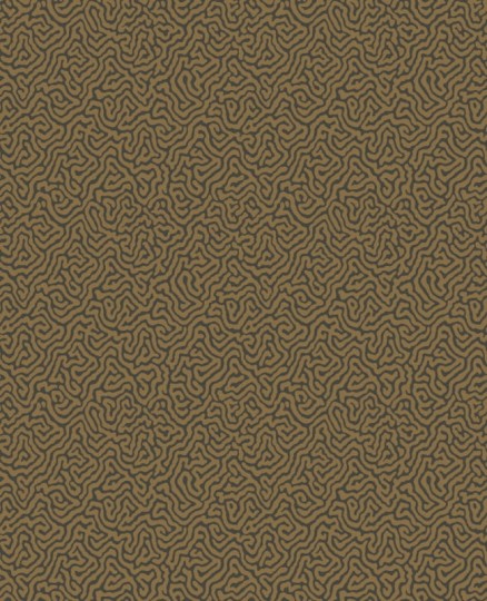 Tapeta Cole & Son Curio  107/4020 Vermicelli