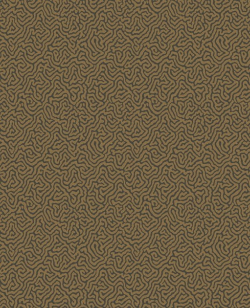 Tapeta Cole & Son Curio  107/4020 Vermicelli