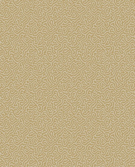 Tapeta Cole & Son Curio  107/4021 Vermicelli