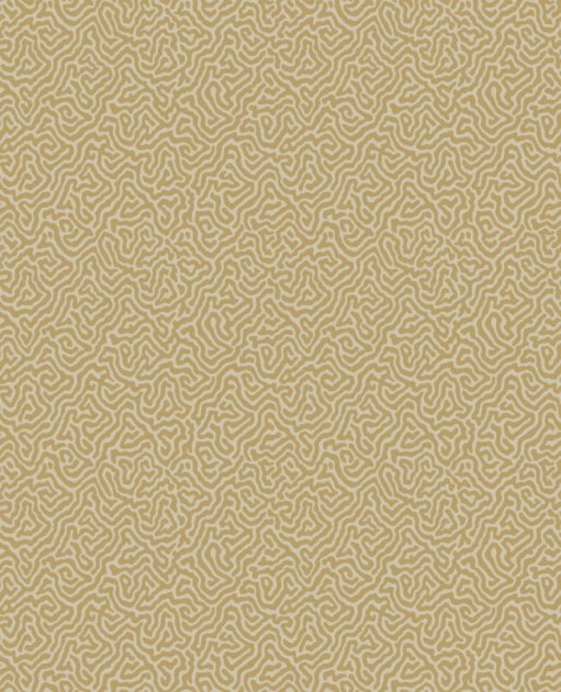 Tapeta Cole & Son Curio  107/4021 Vermicelli