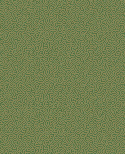 Tapeta Cole & Son Curio  107/4022 Vermicelli