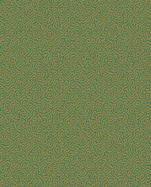 Tapeta Cole & Son Curio  107/4022 Vermicelli