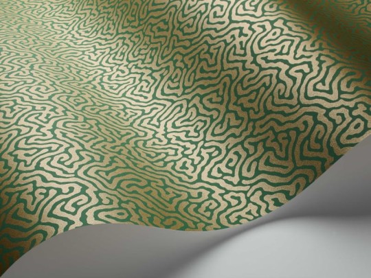 Tapeta Cole & Son Curio  107/4022 Vermicelli