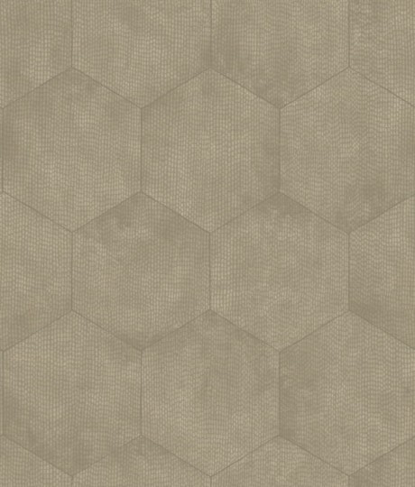 Tapeta Cole & Son Curio  107/6029 Mineral