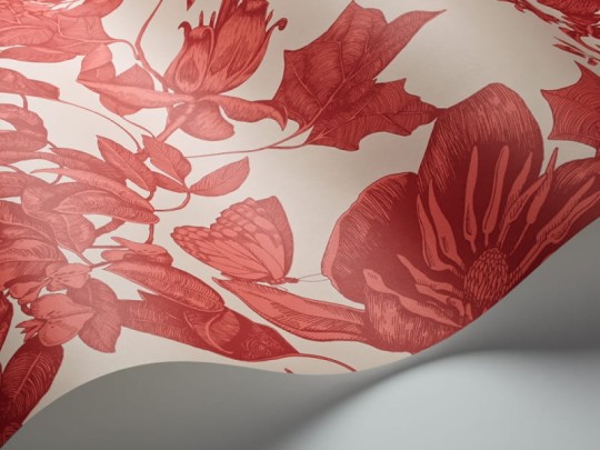 Tapeta Cole & Son - Folie - Tivoli 99/7033