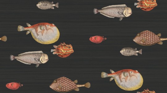 Tapeta Cole & Son - Fornasetti II - Acquario 97/10048