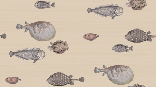 Tapeta Cole & Son Fornasetti Senza Tempo 114/16033 Acquario
