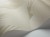 5fe1b45ef760df4c06afd75fdf6436eb