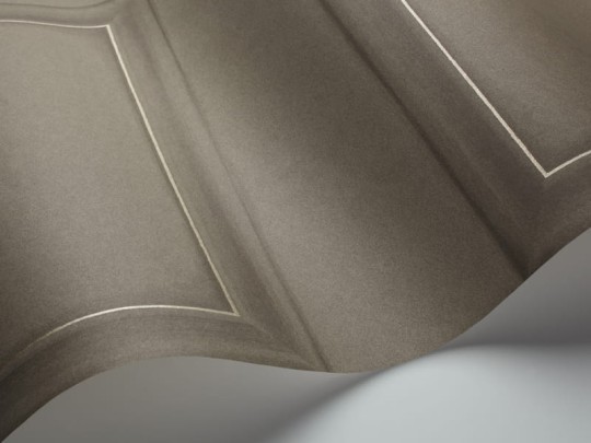 Tapeta Cole & Son - Historic Royal Palaces - Library Panel 98/7030