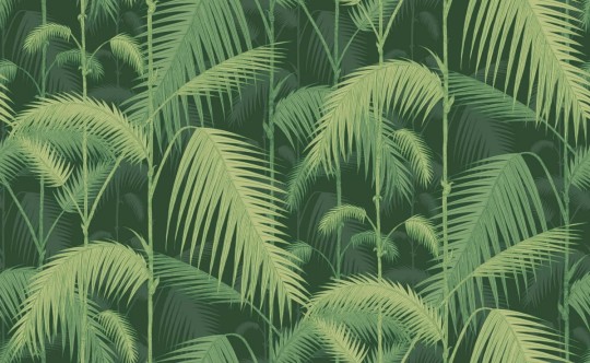 Tapeta Cole & Son Icons 112/1003 Palm Jungle
