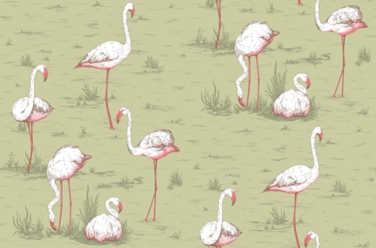Tapeta Cole & Son Icons 112/11038 Flamingos