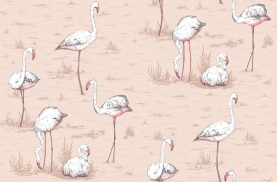 Tapeta Cole & Son Icons 112/11039 Flamingos