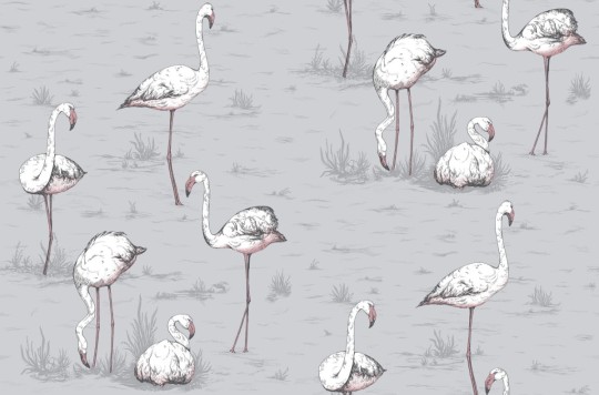 Tapeta Cole & Son Icons 112/11040 Flamingos