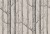 49ef022e96ad86ee6cde13c5f459efc8