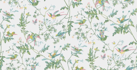 Tapeta Cole & Son Icons 112/4015 Hummingbirds
