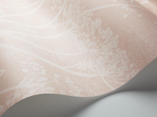 Tapeta Cole & Son Icons 112/8028 Cow Parsley