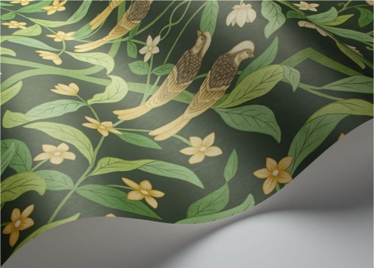 Tapeta Cole & Son Seville 117/10029 Jasmine & Serin Symphony