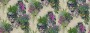 a7cc6ef54282c650bc762d1a8c29459b