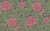 6d258acb11b20a27dc8f4286f0576406