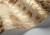 ab874008be6814d3e8d20b22e36fea7a