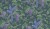 a3aadbc27e0a3b8bdf0ee2b564967957