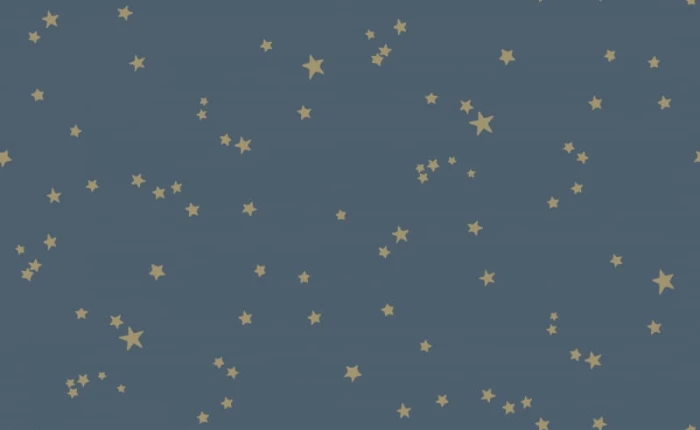 a374015d29696a90db557eca9cecb3d9