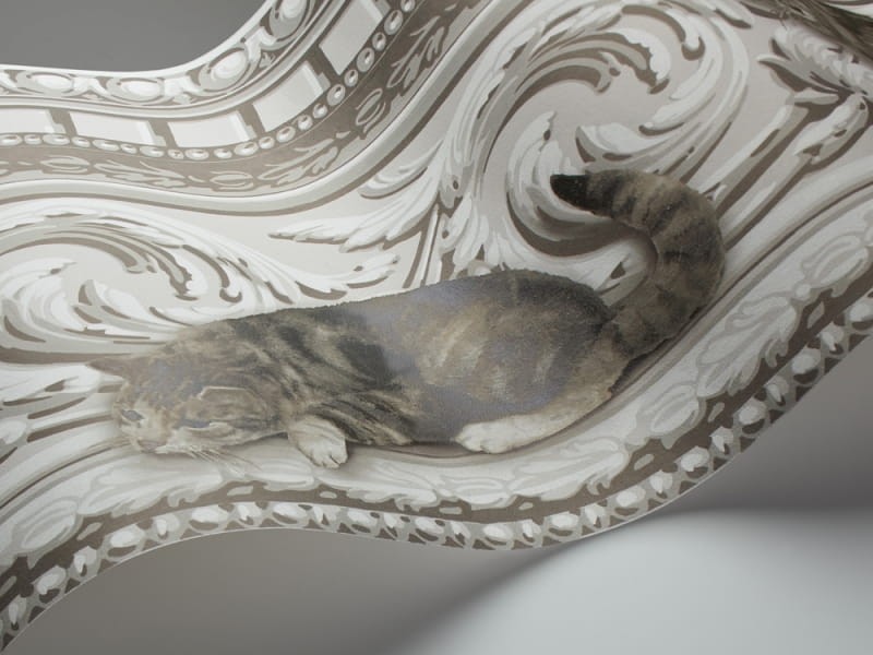 Border Cole & Son Whimsical 103/6025 Paddy & Louis Border