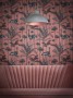 acf024e19aad4997933203b55cde8a60