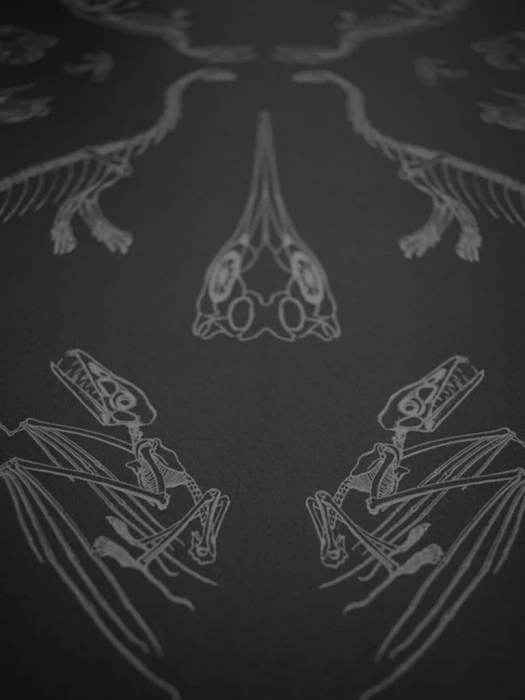 eddf0678cd00b3d08d22ae5e044bfa02