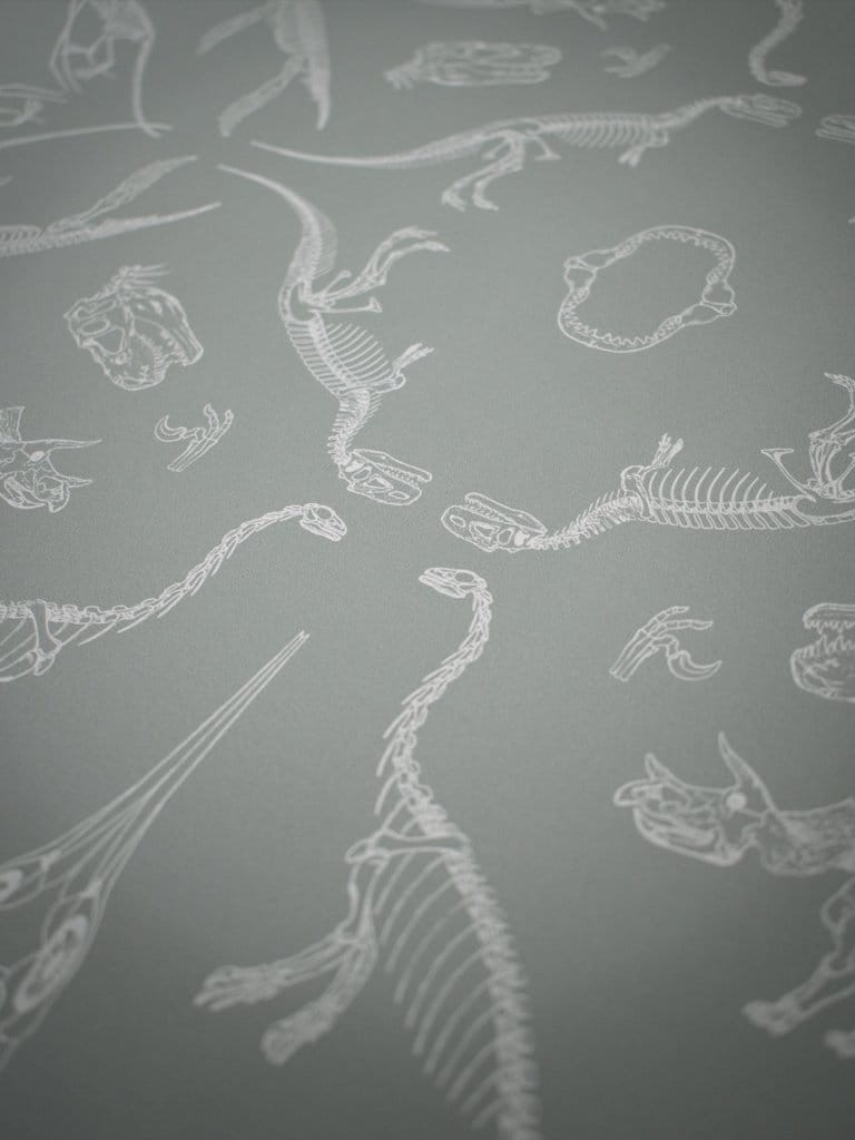 Divine Savages DVS029 Prehistoria - tapeta dinozaury