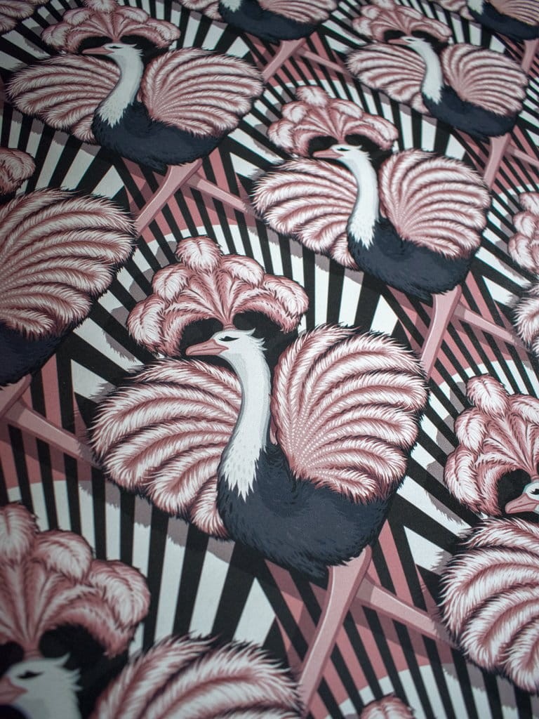 Divine Savages Zsa Zsa DVS009 - tapeta tańczące strusie