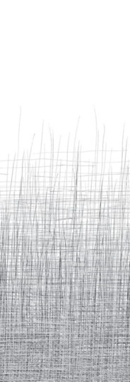 Mural Eco Black & White 6097 Seagrass