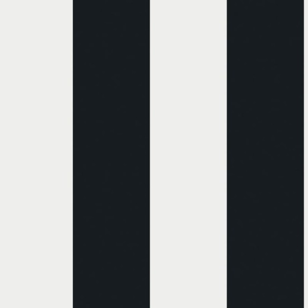 Tapeta Eco Black & White 6074 Stripe M