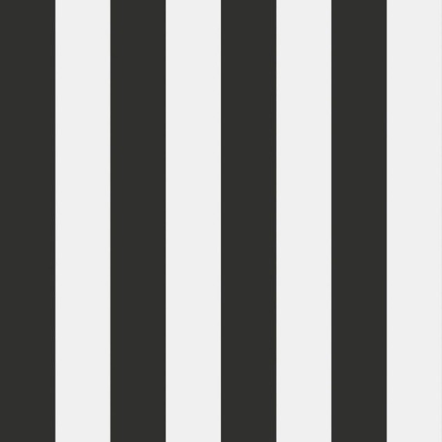 Tapeta Eco Black & White 6076 Stripe S
