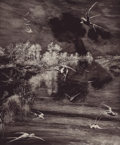 6820dd3e42f0ac6adecf4ea7b341dd7a