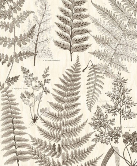 Tapeta Eijffinger Geonature 366105