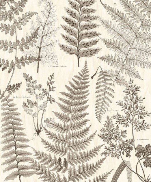 Tapeta Eijffinger Geonature 366105