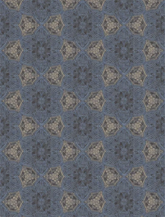 51b2242f1195fc74d2ed9268006d2509