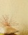 7a5db8d59dcf7d86f08e1711933da89c