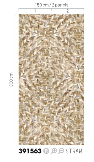 Tapeta Eijffinger Terra 391563