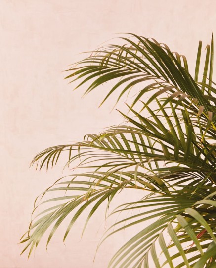 Tapeta Eijffinger Vivid 384550