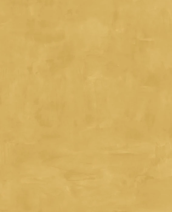 85497d20ca3261c8414cb359b8d94114