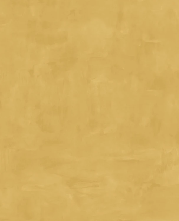 85497d20ca3261c8414cb359b8d94114