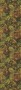 b749b4b1d258a5cf31f3f977e33464b1